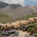 Creta: Lefka Ori, solitudini rocciose