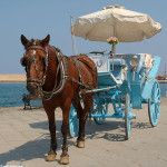 creta chania carrozza