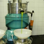 ulivo olio prima spr